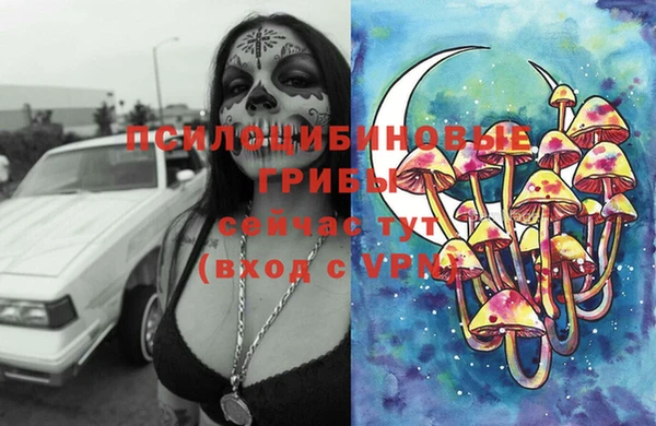 сатива Абаза