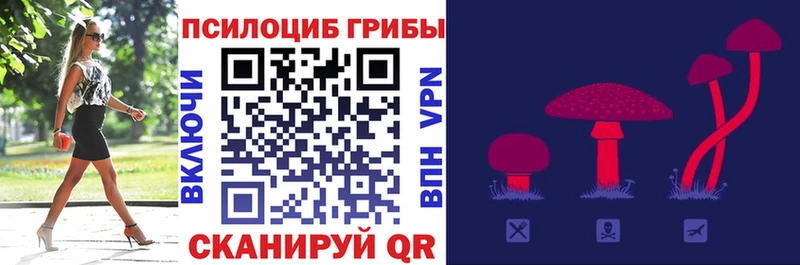 omg как войти  Кирсанов  Псилоцибиновые грибы ЛСД 